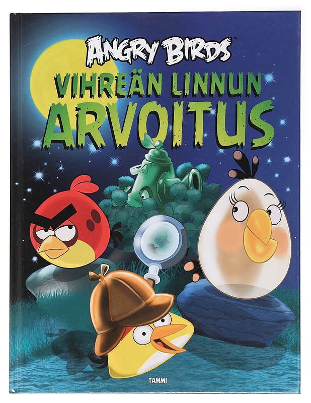 Vihreän linnun arvoitus - Bagge, Tapani - Lastenkirjat - 10105437317 - 0