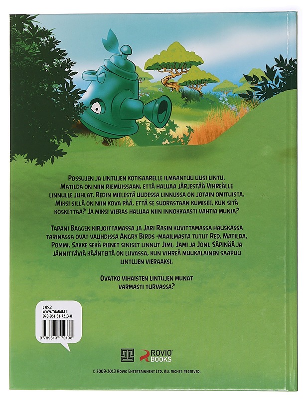 Vihreän linnun arvoitus - Bagge, Tapani - Lastenkirjat - 10105437317 - 1