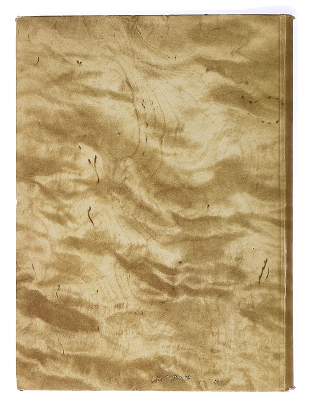 Suomen puun tie metsästä maailmalle, Finland's Wealth of Wood - A. Benj. Helander - Historiakirjat - 10105437371 - 1