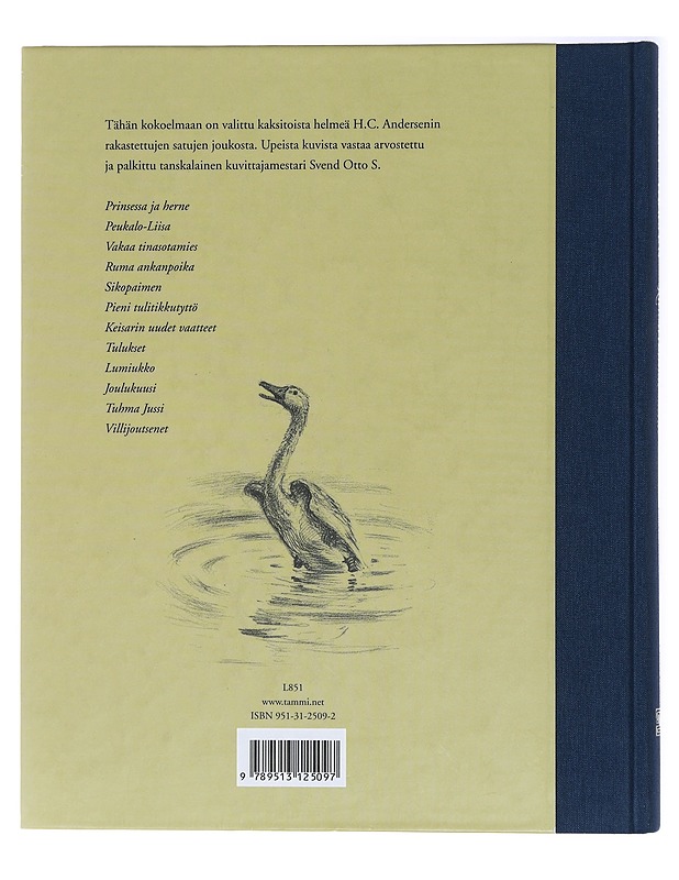 Kauneimmat sadut - Andersen, H. C. - Lastenkirjat - 10105437376 - 1