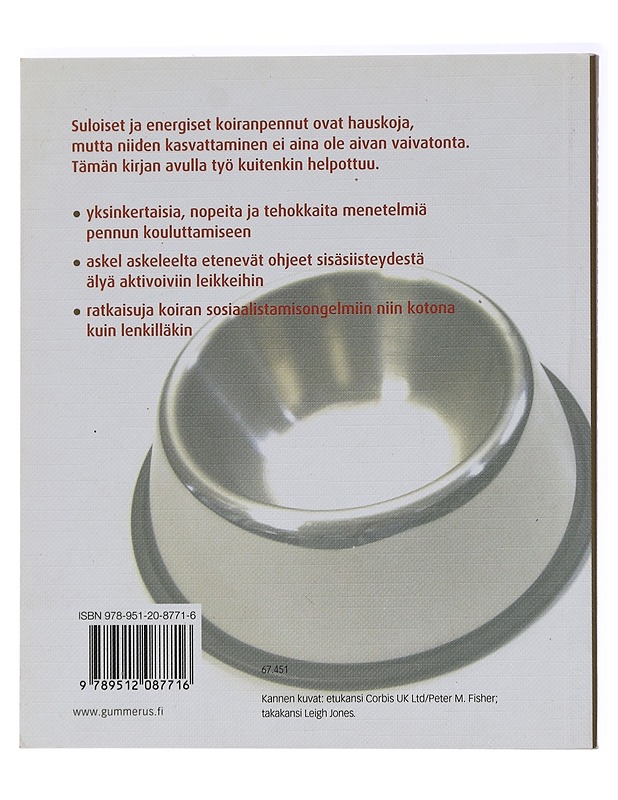 Koiranpennun kesytys : pennusta tottelevaiseksi ja onnelliseksi koiraksi - Davis, Caroline - Tietokirjat ja oppaat - 10105437392 - 1