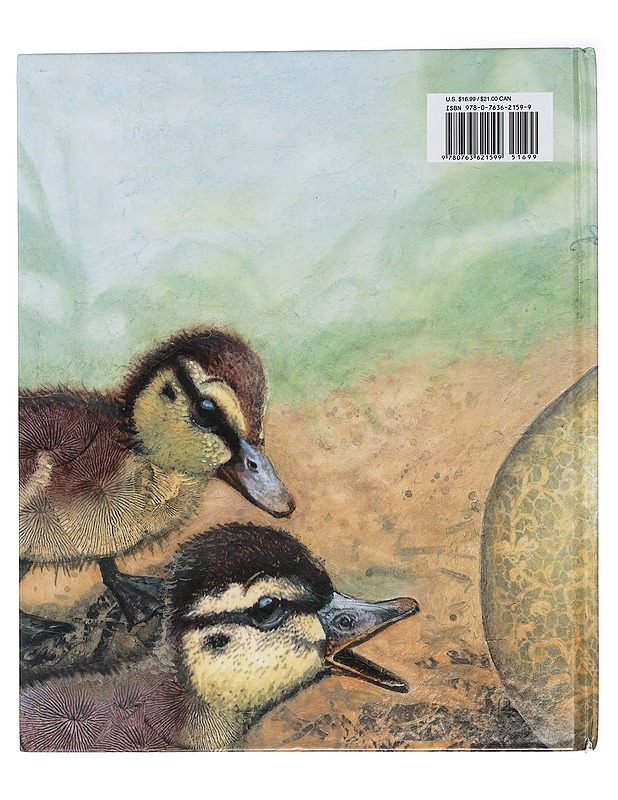 The Ugly Duckling - Andersen, Hans Christian - Lastenkirjat - 10105437417 - 1