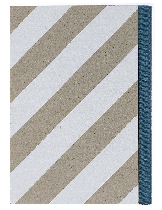 Pacifist Punks - Jeroen Hoedjes & Paul Roeters - Harrastekirjat - 10105437656 - 3