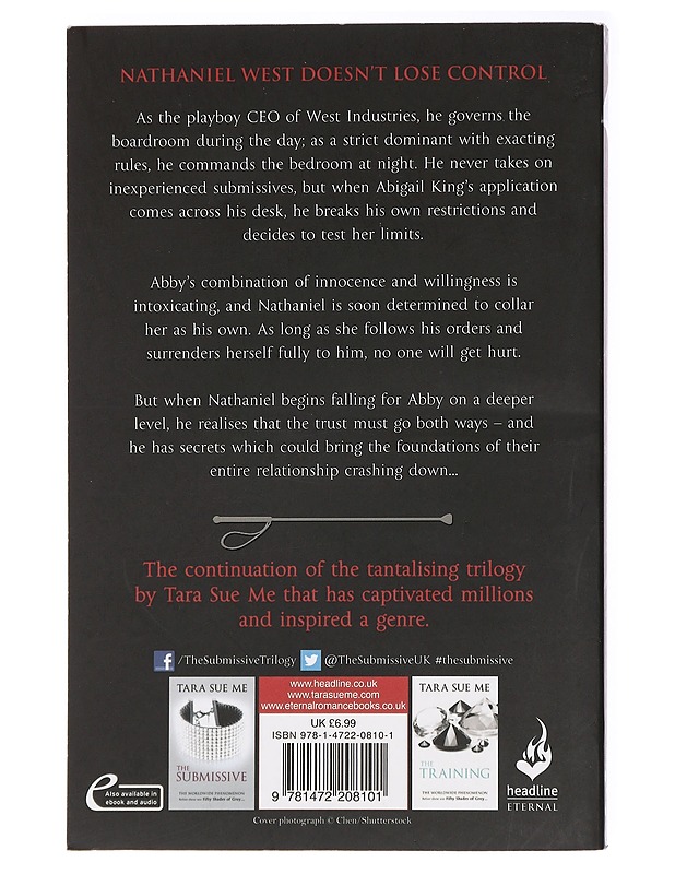 The Dominant - Tara Sue Me - K-18 - Kaunokirjallisuus - 10105437702 - 1