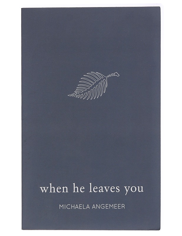 When he leaves you - Michaela Angemeer - Kaunokirjallisuus - 10105437839 - 0