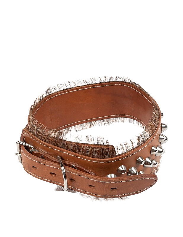 Ison koiran kaulapanta - Lemmikkitarvikkeet - 10105438143 - 0