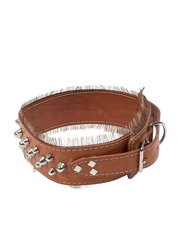 Ison koiran kaulapanta - Lemmikkitarvikkeet - 10105438143 - 1