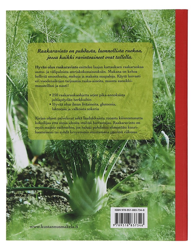 Hyvän olon raakaravinto - Palmcrantz Aziz, Erica - Ruokakirjat - 10105438371 - 1