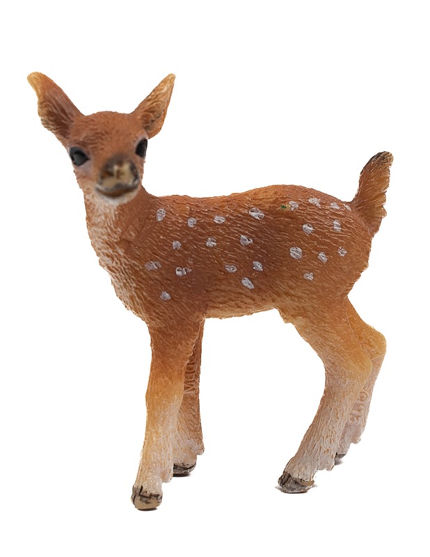 SCHLEICH Valkohäntäpeuran vasa - Lasten lelut - 10105438393 - 0