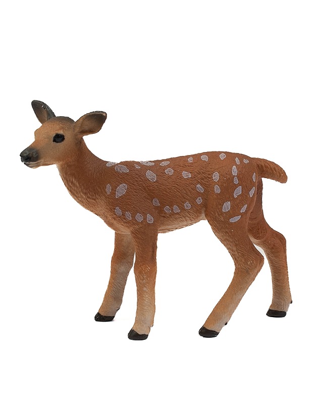 SCHLEICH Valkohäntäpeuran vasa - Lasten lelut - 10105438395 - 0