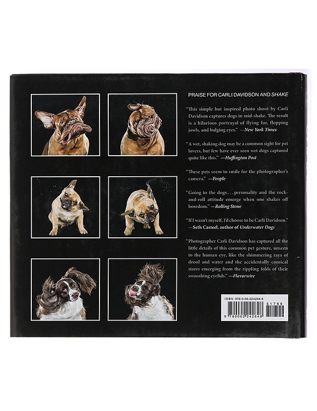 Shake - Carli Davidson - Tietokirjat ja oppaat - 10105438454 - 1