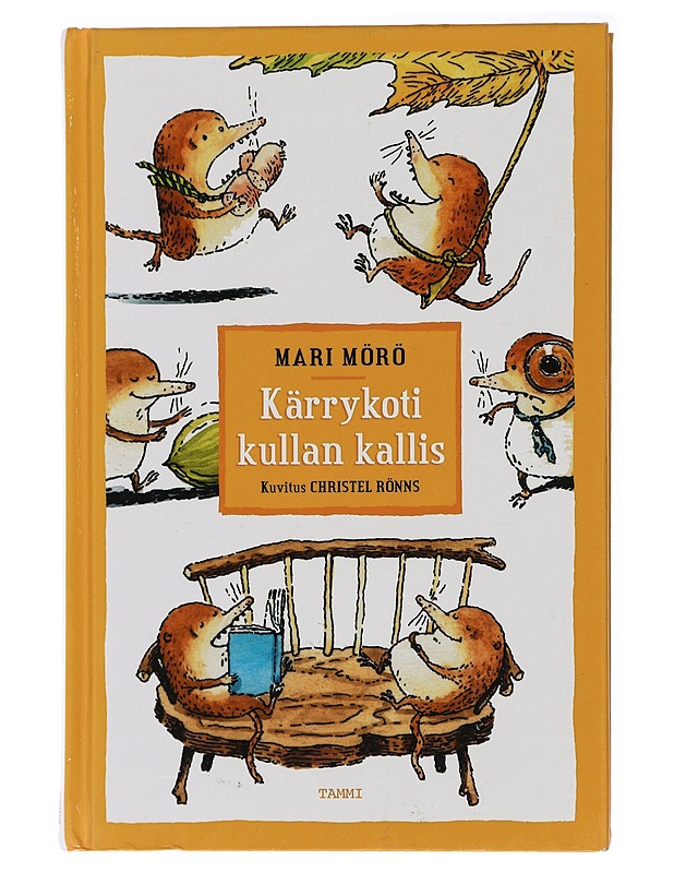 Kärrykoti kullan kallis - Mörö, Mari - Lastenkirjat - 10105438544 - 0