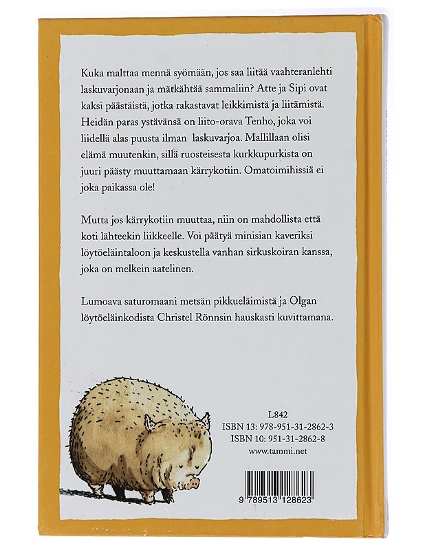 Kärrykoti kullan kallis - Mörö, Mari - Lastenkirjat - 10105438544 - 1