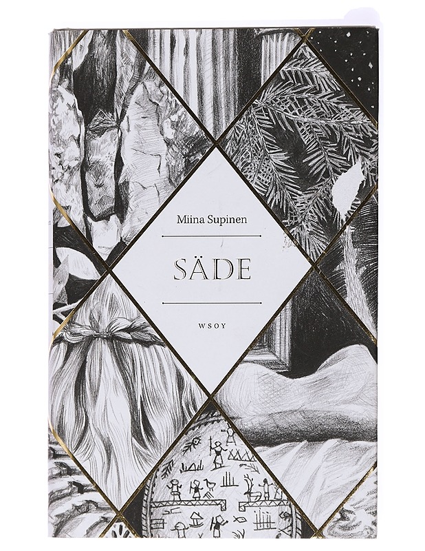 Säde - Miina Supinen - Romaanit ja novellit - 10105438641 - 0
