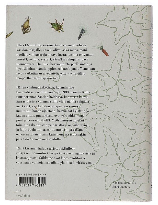 Raunioyrtti ja muita kasveja Elias Lönnrotin Lammin talolla - Hämet-Ahti, Leena - Kirja lahjaksi - 10105438654 - 1