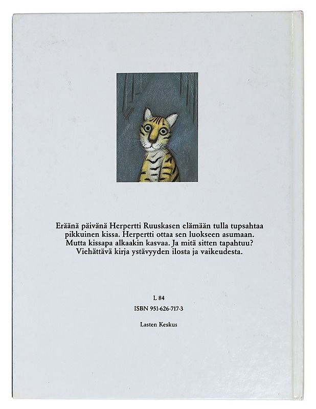 Herpertti Ruuskasen kisumisu - Wolski, Slawomir - Lastenkirjat - 10105438699 - 1