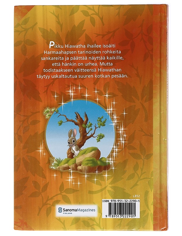Hiawatha ja suuri kotka - Kärkkäinen, Katja - Lastenkirjat - 10105438732 - 1