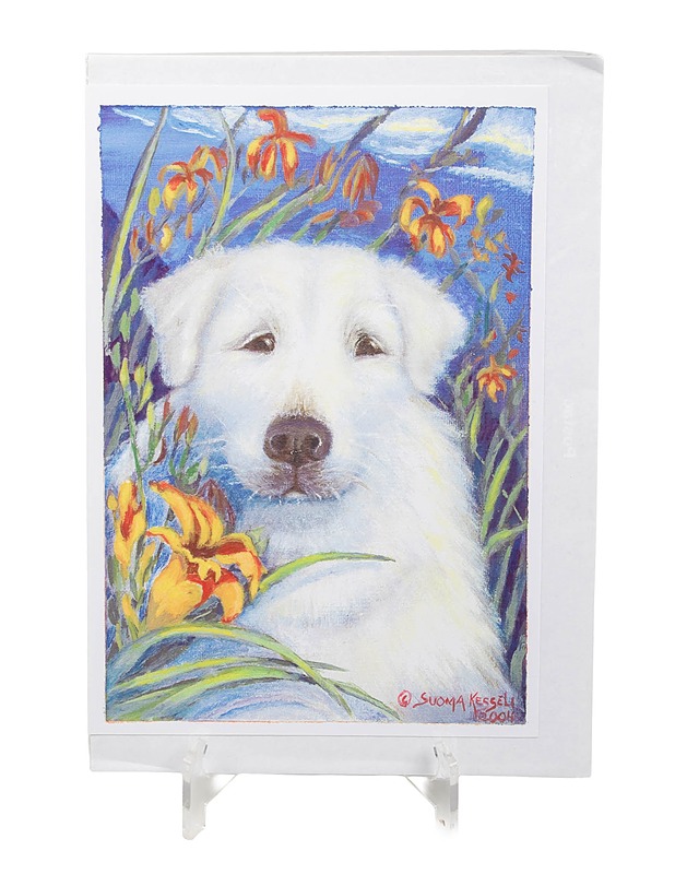 Suoma Kesseli korttisetti - 1 kpl - Askartelu - 10105438753 - 0