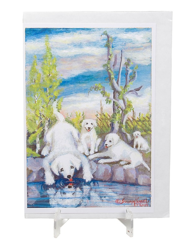 Suoma Kesseli korttisetti - 1 kpl - Askartelu - 10105438765 - 0