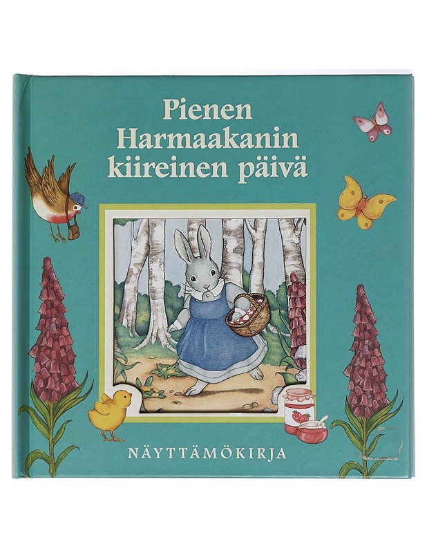 Pienen Harmaakanin kiireinen päivä - Corrie, Alice - Lastenkirjat - 10105438766 - 0