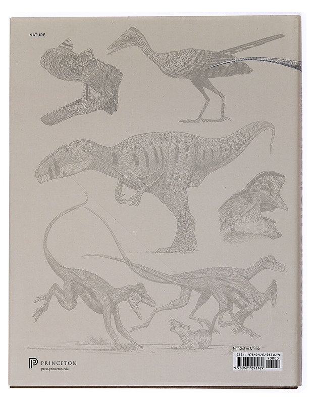 The princeton field guide to predatory dinosaurs - Paul, Gregory S. - Tietokirjat ja oppaat - 10105438907 - 1