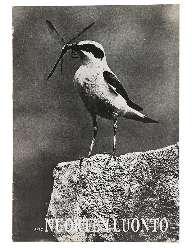 Nuorten Luonto 5/77 - Lehdet - 10105439043 - 0