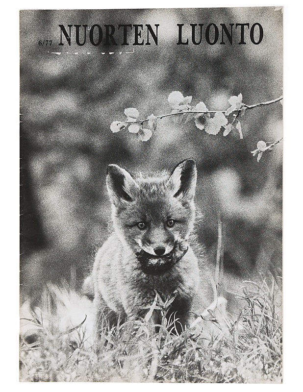 Nuorten Luonto 6/77 - Lehdet - 10105439046 - 0