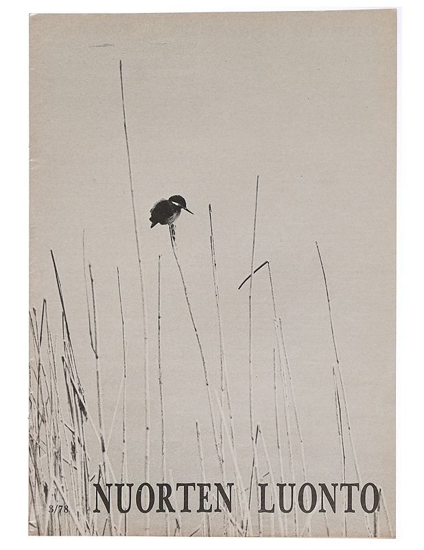Nuorten Luonto 3/78 - Lehdet - 10105439074 - 0