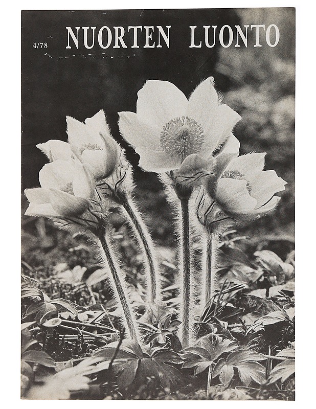 Nuorten Luonto 4/78 - Lehdet - 10105439084 - 0