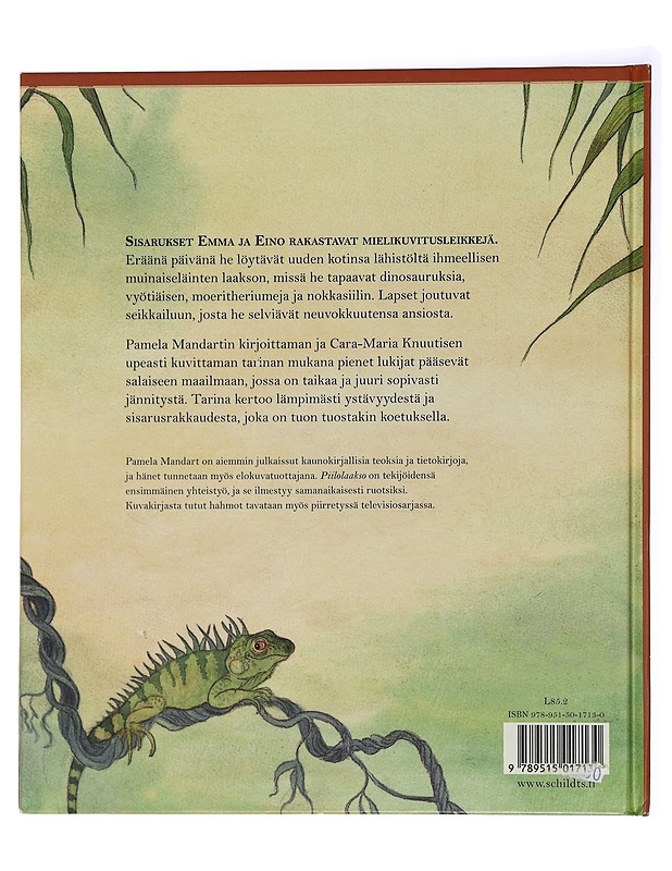 Piilolaakso - Mandart, Pamela - Lastenkirjat - 10105439228 - 1