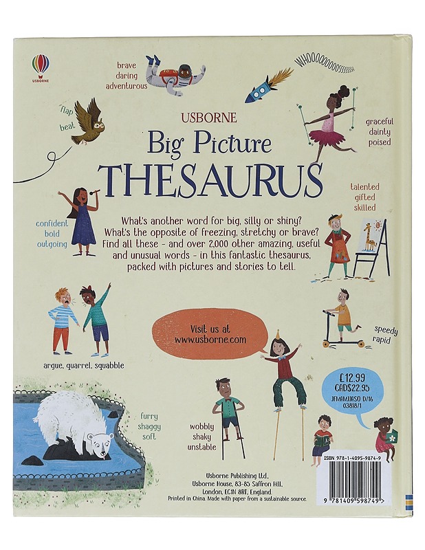 Usborne : Big picture thesaurus - Hore, Rosie - Lastenkirjat - 10105439515 - 1