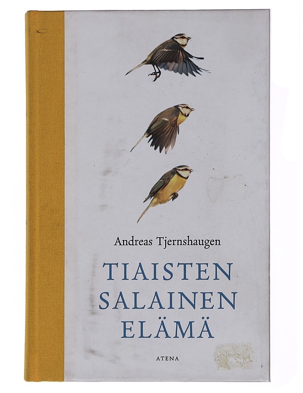 Tiaisten salainen elämä - Tjernshaugen, Andreas - Tietokirjat ja oppaat - 10105439779 - 0