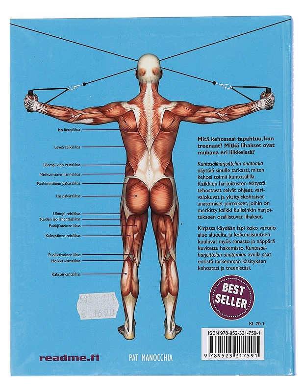 Kuntosaliharjoittelun anatomia : valmentajan syvälliset treeniohjeet - Manocchia, Pat - Tietokirjat ja oppaat - 10105439904 - 1