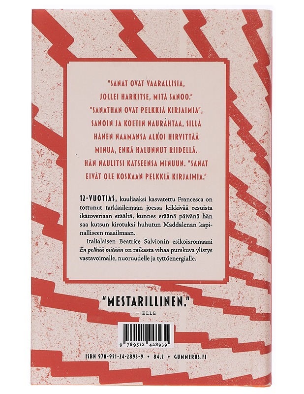 En pelkää mitään - Salvioni, Beatrice - Romaanit ja novellit - 10105440078 - 1