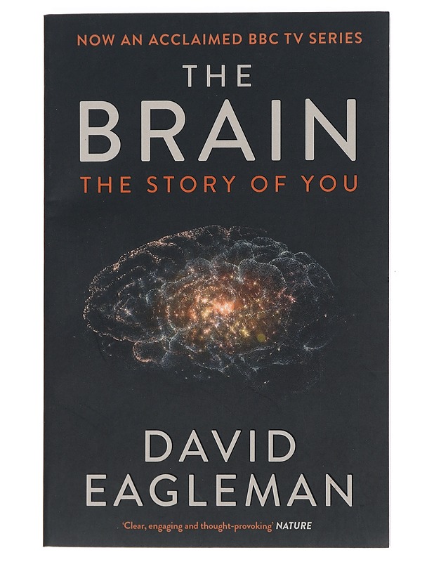 The Brain : The Story of You - David Eagleman - Romaanit ja novellit - 10105440100 - 0