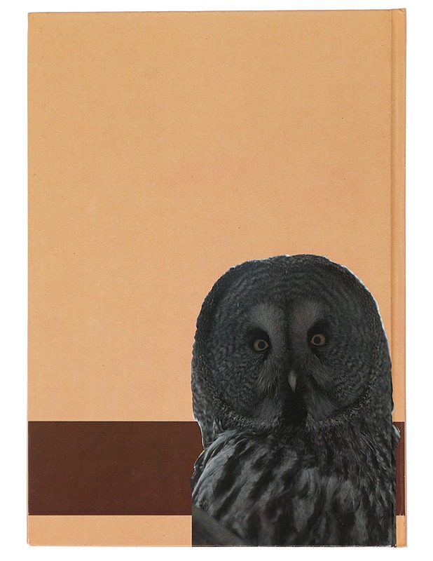 Ähtärin eläinpuisto 10 vuotta - Koivisto, Ilkka - Tietokirjat ja oppaat - 10105440234 - 1