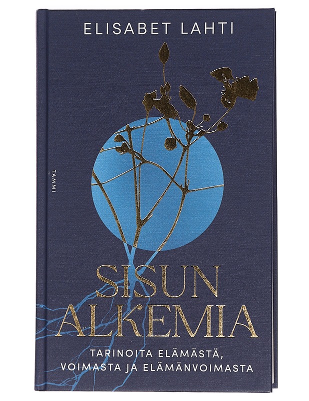 Sisun alkemia : tarinoita elämästä, voimasta ja elämänvoimasta - Elisabet Lahti - Elämäkerrat ja muistelmat - 10105440271 - 0