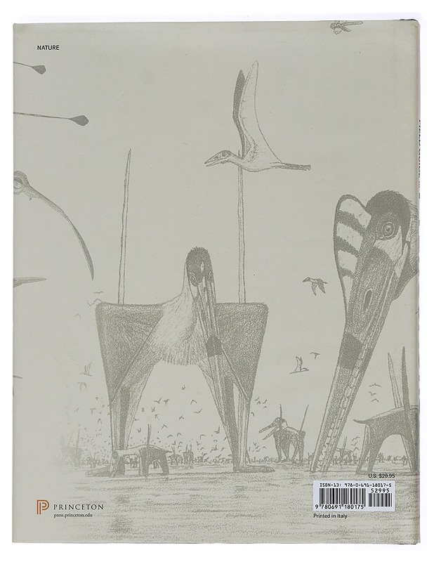 The Princeton Field Guide to Pterosaurs - Gregory S. Paul - Tietokirjat ja oppaat - 10105440346 - 1