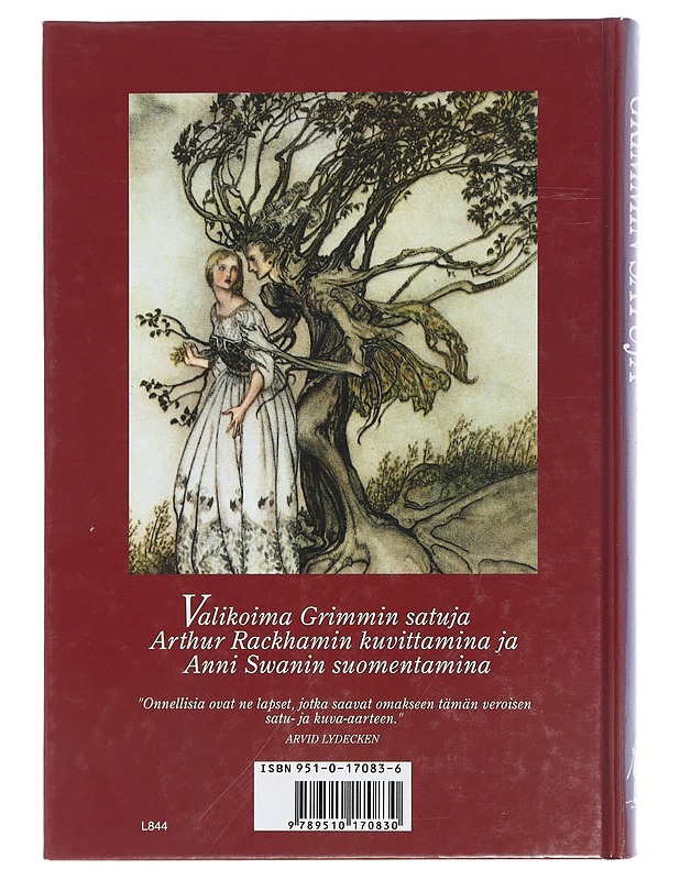 Grimmin satuja - Grimm, Jacob - Lastenkirjat - 10105440497 - 1