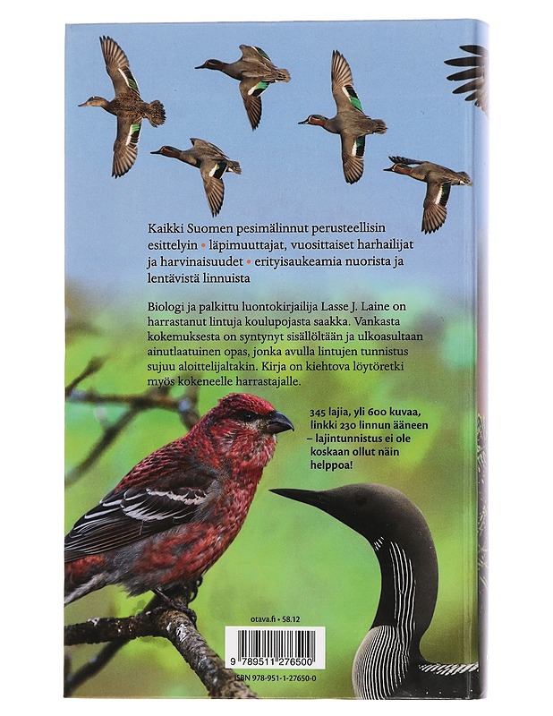Suomen linnut : tunnistusopas - Laine, Lasse J. - Harrastekirjat - 10105440588 - 1