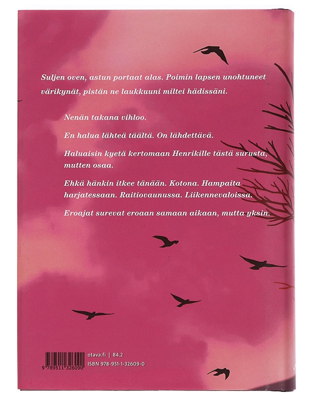 Lasten planeetta - Riikka Pulkkinen - Romaanit ja novellit - 10105440741 - 1