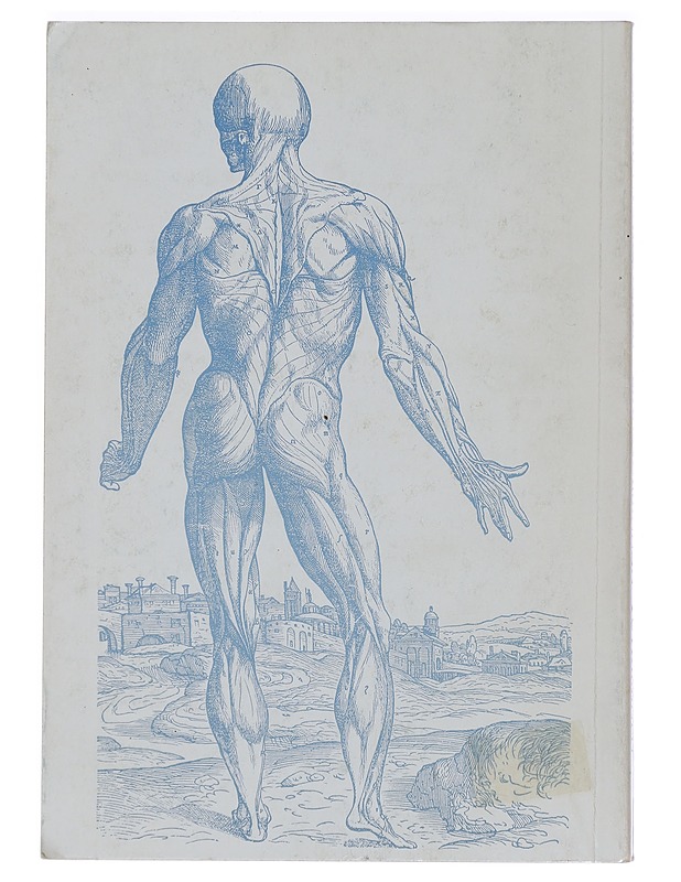 Lihastoiminnan tutkiminen - Karhela, Arja - Tietokirjat ja oppaat - 10105440943 - 1