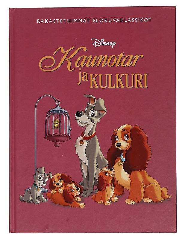 Kaunotar ja kulkuri - Heimonen, Satu - Lastenkirjat - 10105440978 - 0