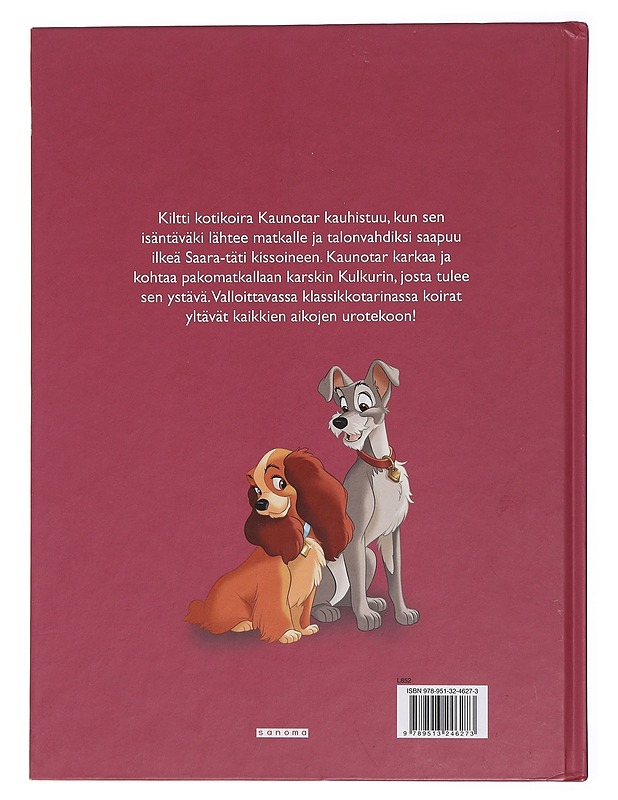 Kaunotar ja kulkuri - Heimonen, Satu - Lastenkirjat - 10105440978 - 1