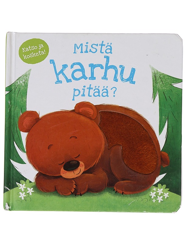 Mistä karhu pitää? - Mills, Daniel - Lastenkirjat - 10105441653 - 0