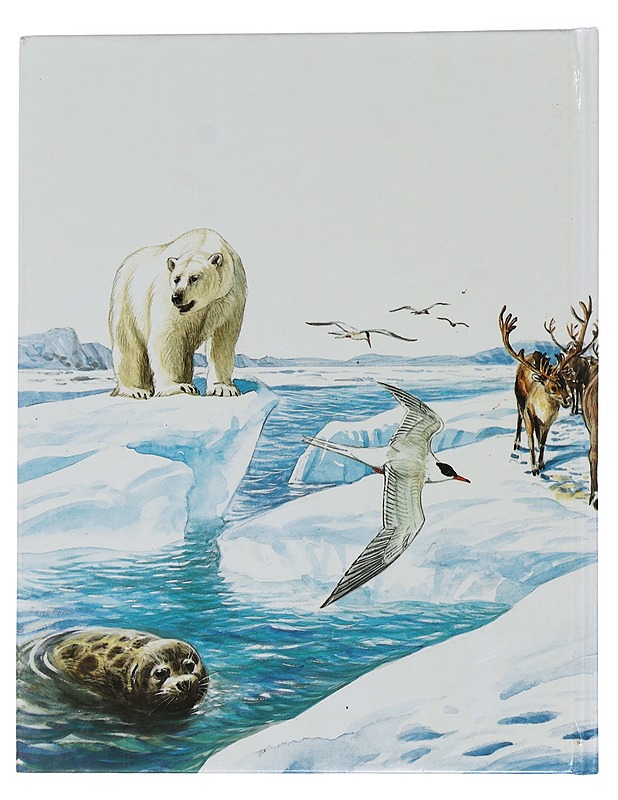 Disneyn iloinen tietolukemisto 13 : Karibujen jäljillä - Disney, Walt - Lastenkirjat - 10105441726 - 1