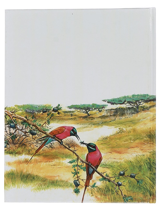 Disney iloinen tietolukemisto 14 : Leijonien valtakunta - Lastenkirjat - 10105441730 - 1