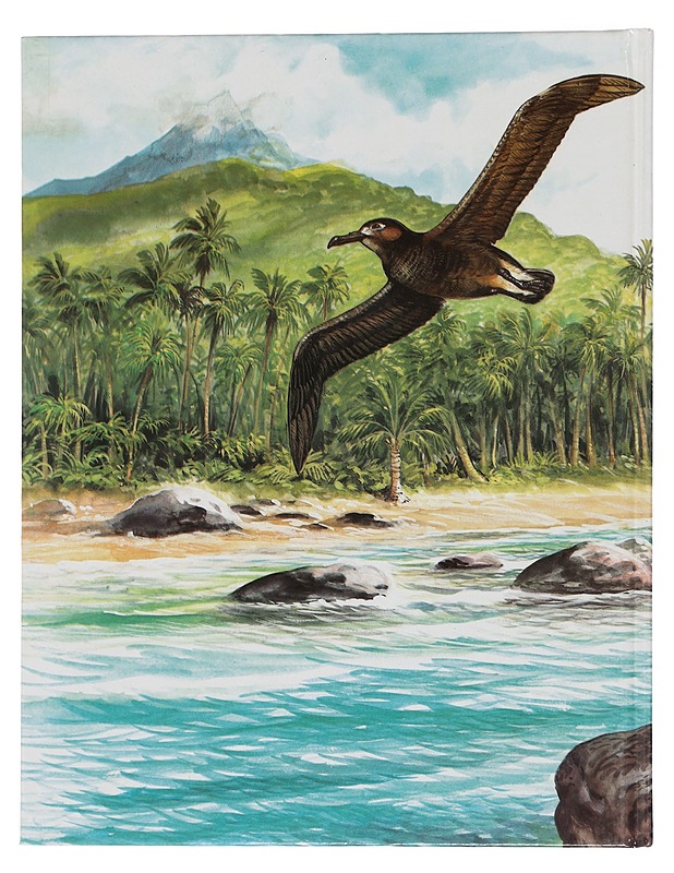 Disneyn iloinen tietolukemisto 22 : Albatrossin pesä - Disney, Walt - Lastenkirjat - 10105441740 - 1