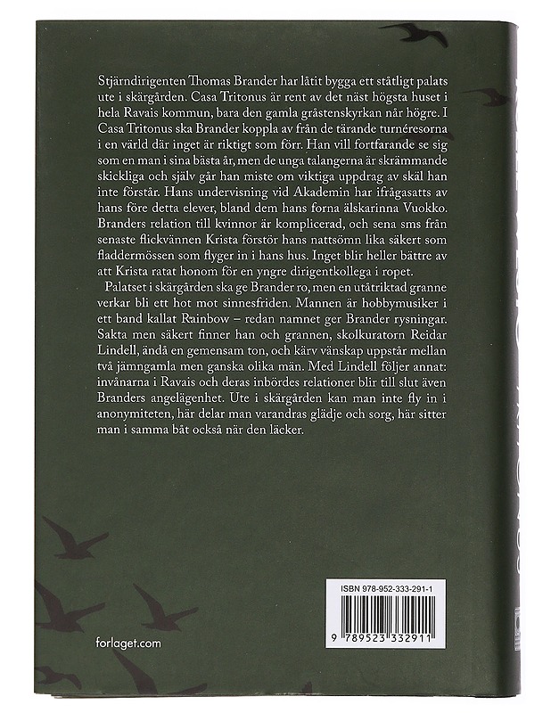 Tritonus - Westö, Kjell - Romaanit ja novellit - 10105441912 - 1