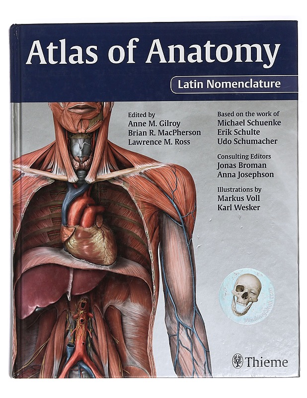 Atlas of anatomy - Gilroy, Anne M. - Tietokirjat ja oppaat - 10105442319 - 0